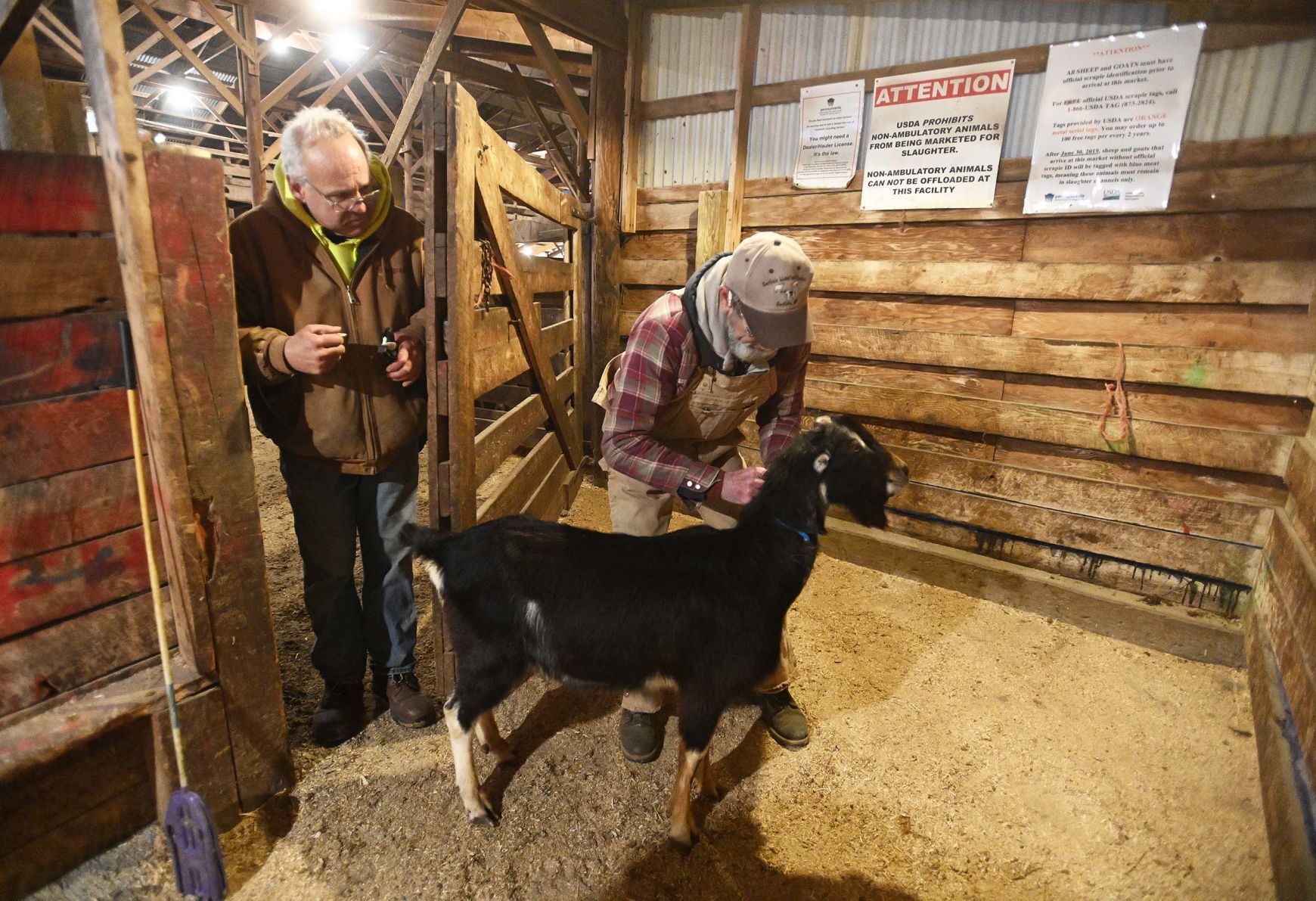 Carlisle Livestock Auction 5.JPG
